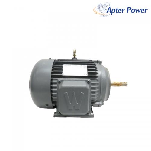 PEWWE7.536-184JM ac Motor