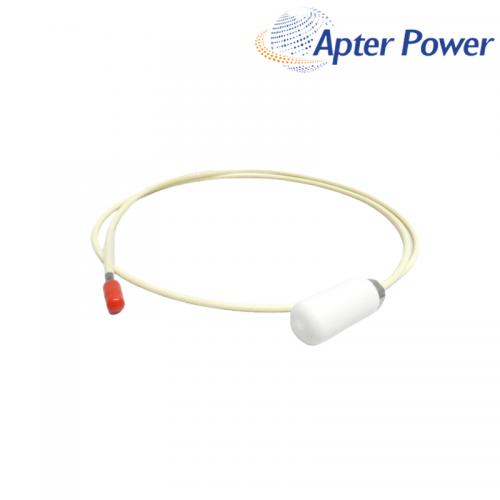 21504-00-16-10-02 Reverse Mount Probe