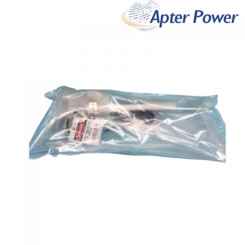 SR2BDAFB-050614  SmartProbe