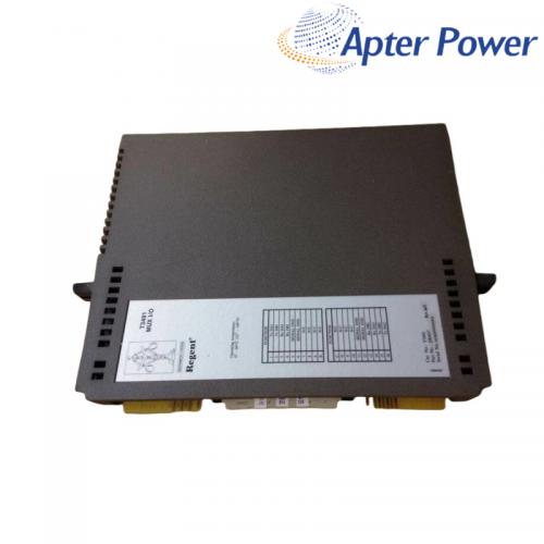 T3491 Analog input module