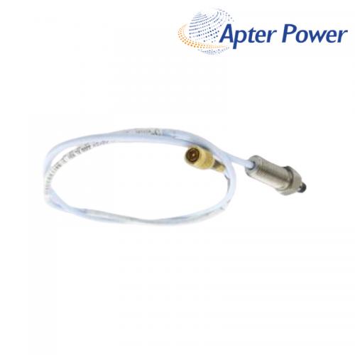 330906-02-12-05-02-05 3300 NSv Reverse Mount Probe
