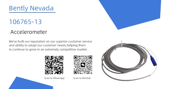 Bentny Nevada представляет 106765-13